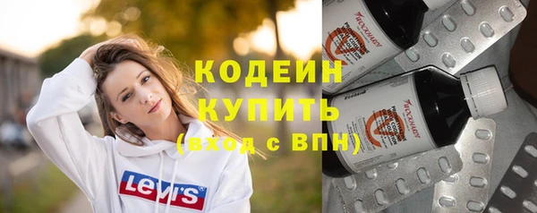 мет Инта