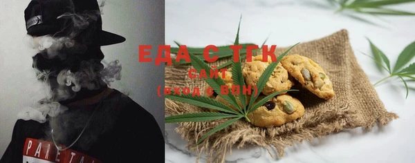 мет Инта