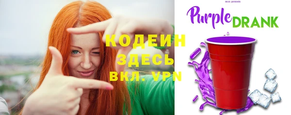 мет Инта