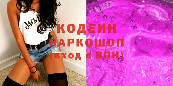 мет Инта