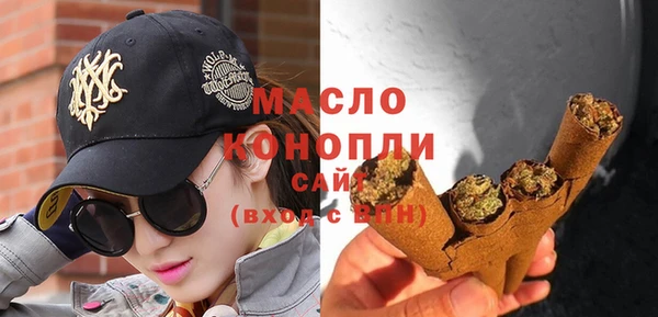 мет Инта