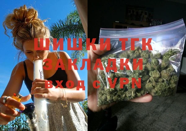 мет Инта