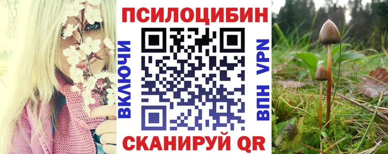 дарнет шоп  Серпухов  Галлюциногенные грибы Psilocybine cubensis 